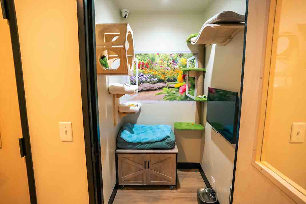 Deluxe Penthouse Suite