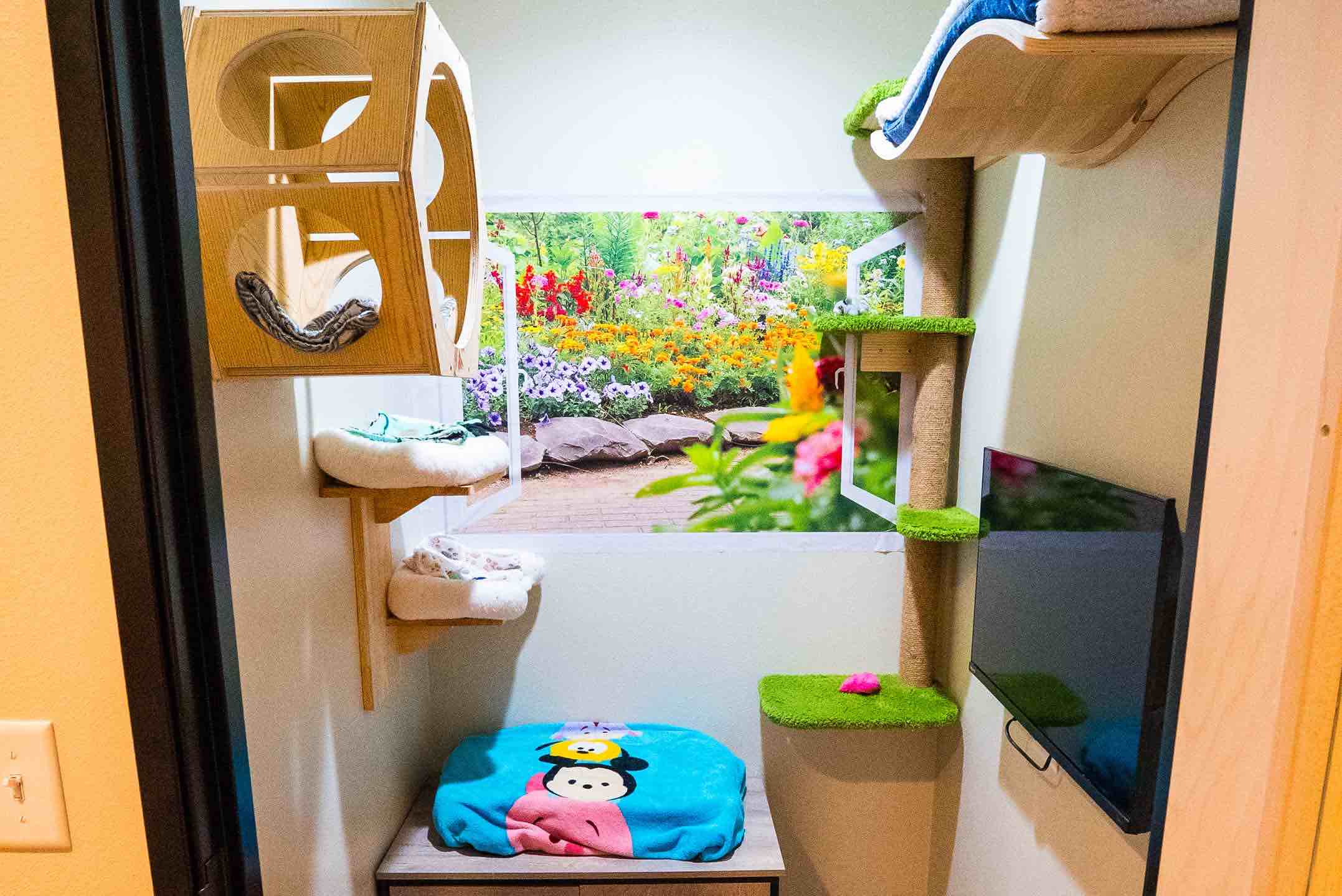 Picture of the Purradise Penthouse Room
