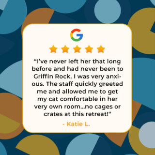 ⭐⭐⭐⭐⭐ Another purrfect 5-star review, showcasing the unmatched excellence of Griffin Rock Cat Retreat! Secure your boarding reservation today and discover feline paradise. 🐾 

#GriffinRockCatRetreat #LuxuryCatBoarding #5StarReview