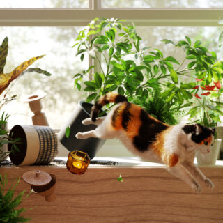 Has your cat declared war on your plants? Unleash them into a realm of elegance and refinement at Griffin Rock Cat Retreat, where they can embrace a life of 'purr-vileged' luxury.

#GriffinRockCatRetreat #LuxuryCatBoarding