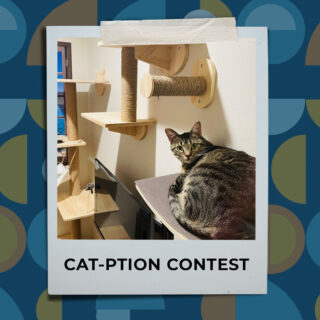 Can you come up with a hiss-terically funny caption? The best one wins a free night stay for their cat at Griffin Rock Cat Retreat! 🎉

#GriffinRockCatRetreat #LuxuryCatBoarding #CaptionContest