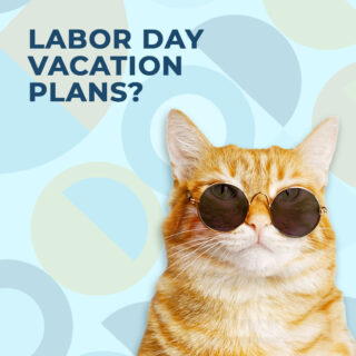 Planning a Labor Day getaway? Your cat deserves a slice of paradise too! Secure their luxury spot at Griffin Rock Cat Retreat now! 🐱✨

#GriffinRockCatRetreat #LuxuryCatBoarding #LaborDay