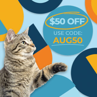 🐱✨ Save $50 on any future boarding reservation with AUG50 at Griffin Rock Cat Retreat. Don't pro-cat-stinate, offer valid through 8/31!

#GriffinRockCatRetreat #LuxuryCatBoarding