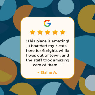 ⭐⭐⭐⭐⭐ Yet another 5-star review praising the unparalleled service at Griffin Rock Cat Retreat! Book a boarding reservation now and experience the difference. 🐈

#GriffinRockCatRetreat #LuxuryCatBoarding