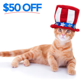 🎉 Kick off your 4th of July with $50 off any boarding reservation at Griffin Rock Cat Retreat. Use code JULY50 and secure your spot today! Offer valid until July 9th. 🐱

#GriffinRockCatRetreat #LuxuryCatBoarding